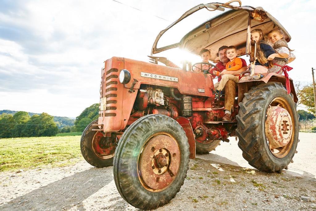 Ferienhof Stetter Schöllnach エクステリア 写真